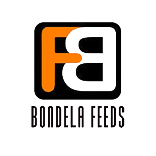 Bondela